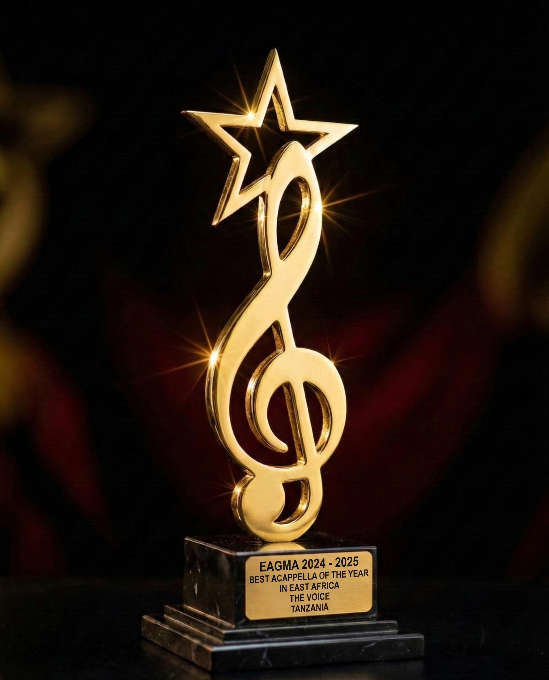 The Voice TZ Music